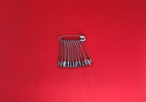 Stainless Steel Safety Pins 12pk